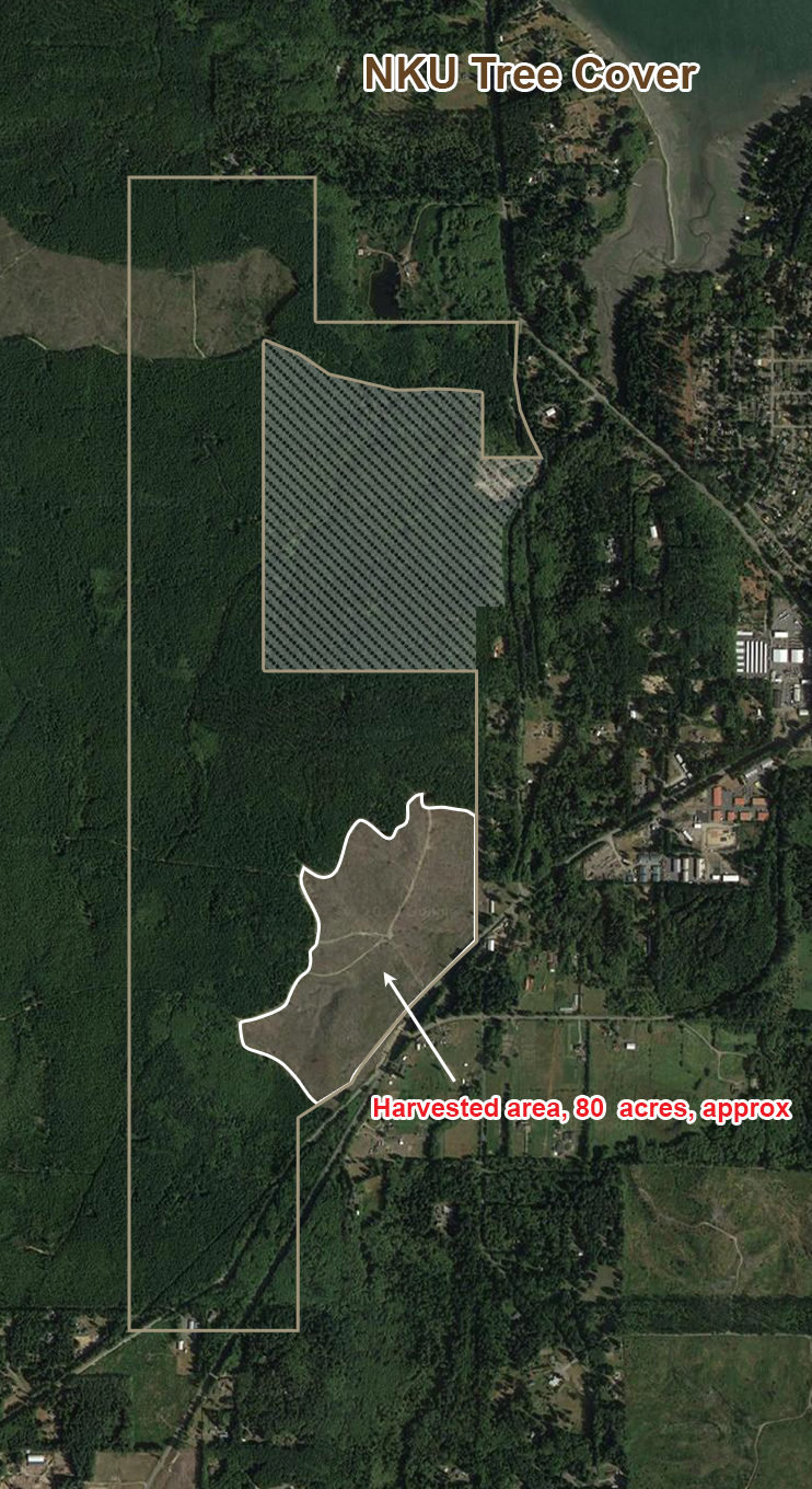 Map showing existing forest and vegetation coverage on the NKU property